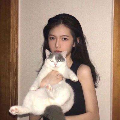 萌焕三国手机版下载